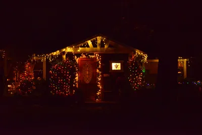 DSC_5804 (Large).JPG